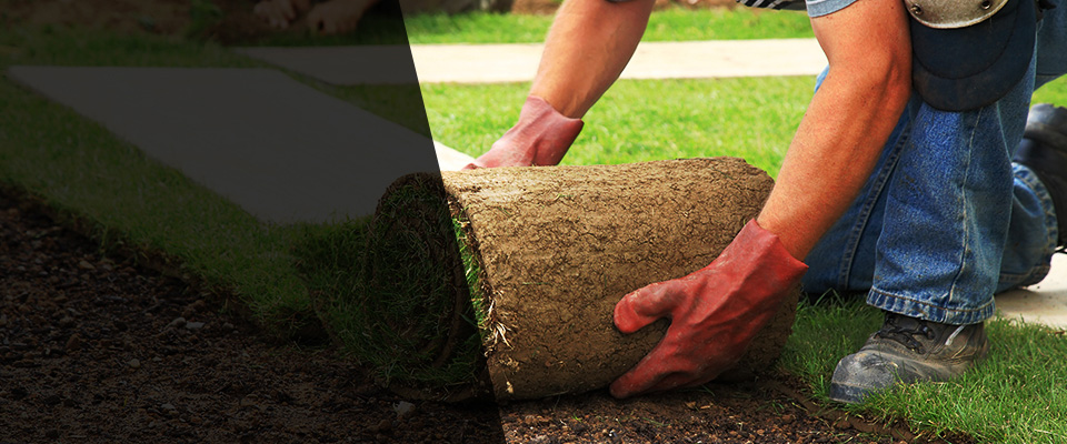 Cream Ridge Landscapers